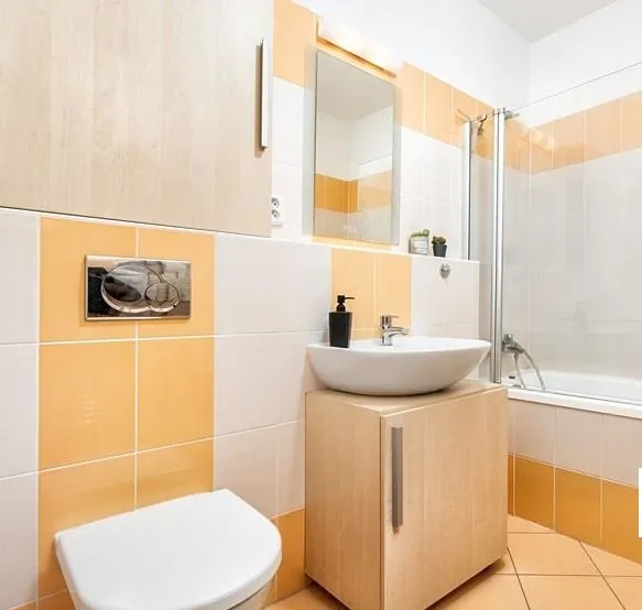 Moderno appartamento con 1 camera da letto situato a Brno — foto 6