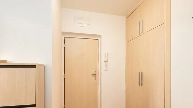 Moderno appartamento con 1 camera da letto situato a Brno — foto 8
